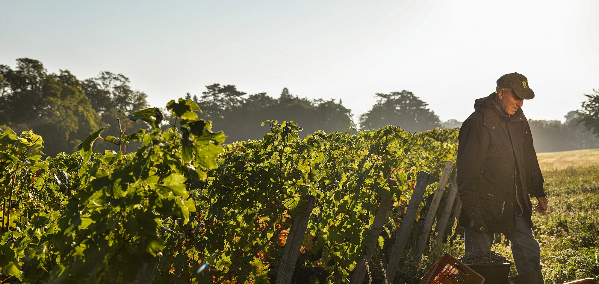 EPerrin DSC6662HD copie.webp